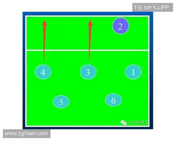 深圳排球队在锦标赛中的速度优势与战术分析